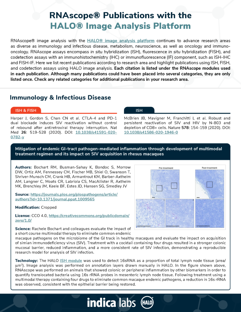 Getting Started with RNAscope™ Image Analysis in HALO® - Indica Labs