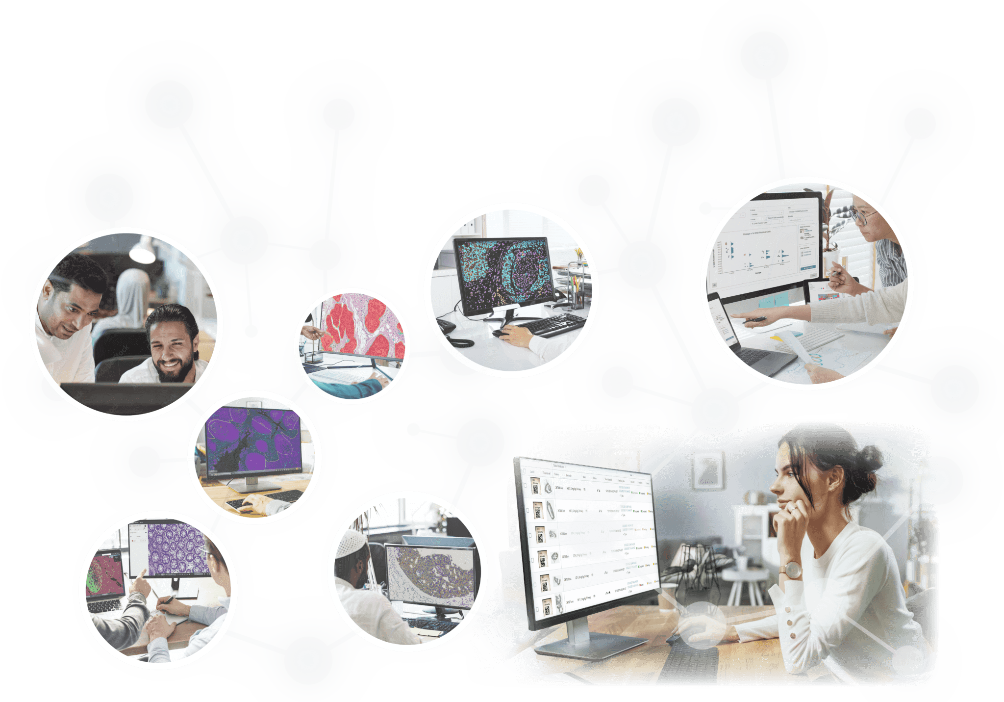 HALO Link | Collaborative Image Management for Pathology - Indica Labs