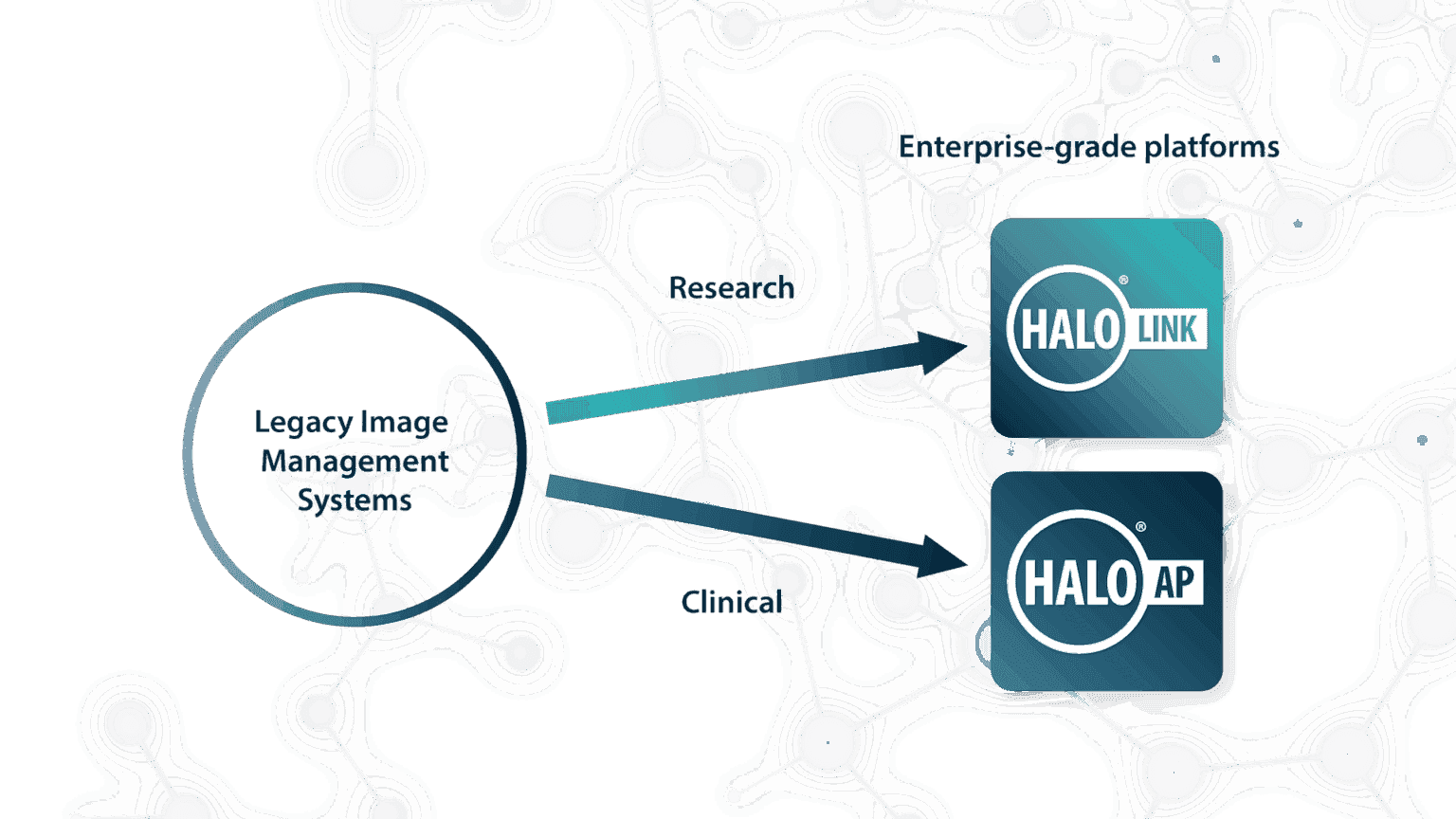 Integration and Migration Services - Indica Labs