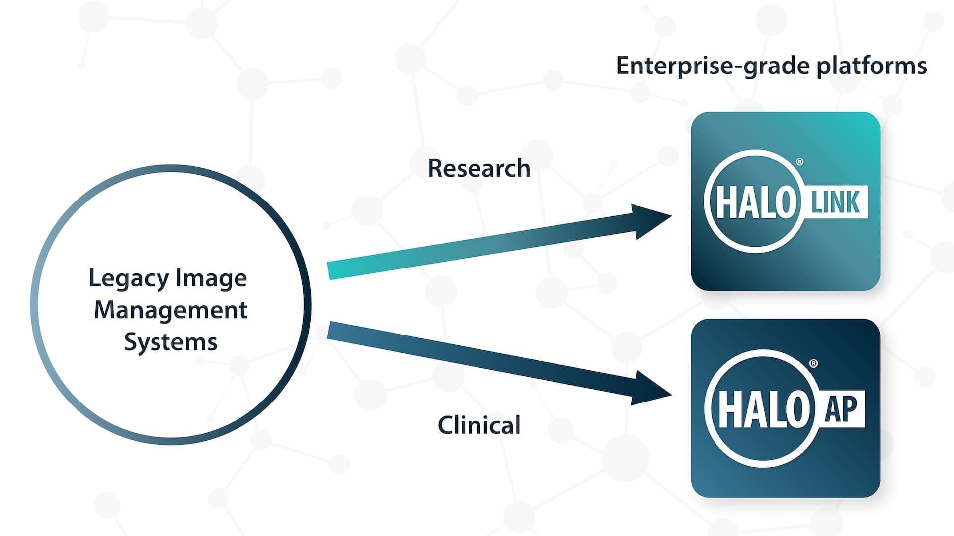 Integration and Migration Services - Indica Labs
