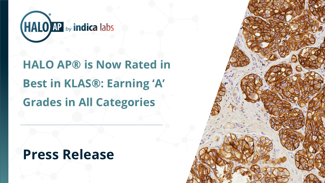 Indica Labs publishes a press releases announcing their diagnostic digital pathology platform, HALO AP, is now rated in best in KLAS, earning all A grades across each customer experience pillar.
