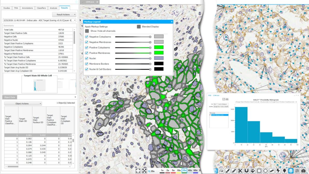 Image of the user interface of the ADC Target Scoring module for the HALO image analysis platform, showing analysis results, interactive markup image, spatial analysis overlay image, and proximity histogram.