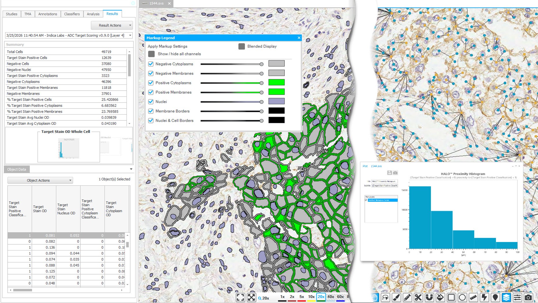 Image of the user interface of the ADC Target Scoring module for the HALO image analysis platform, showing analysis results, interactive markup image, spatial analysis overlay image, and proximity histogram.
