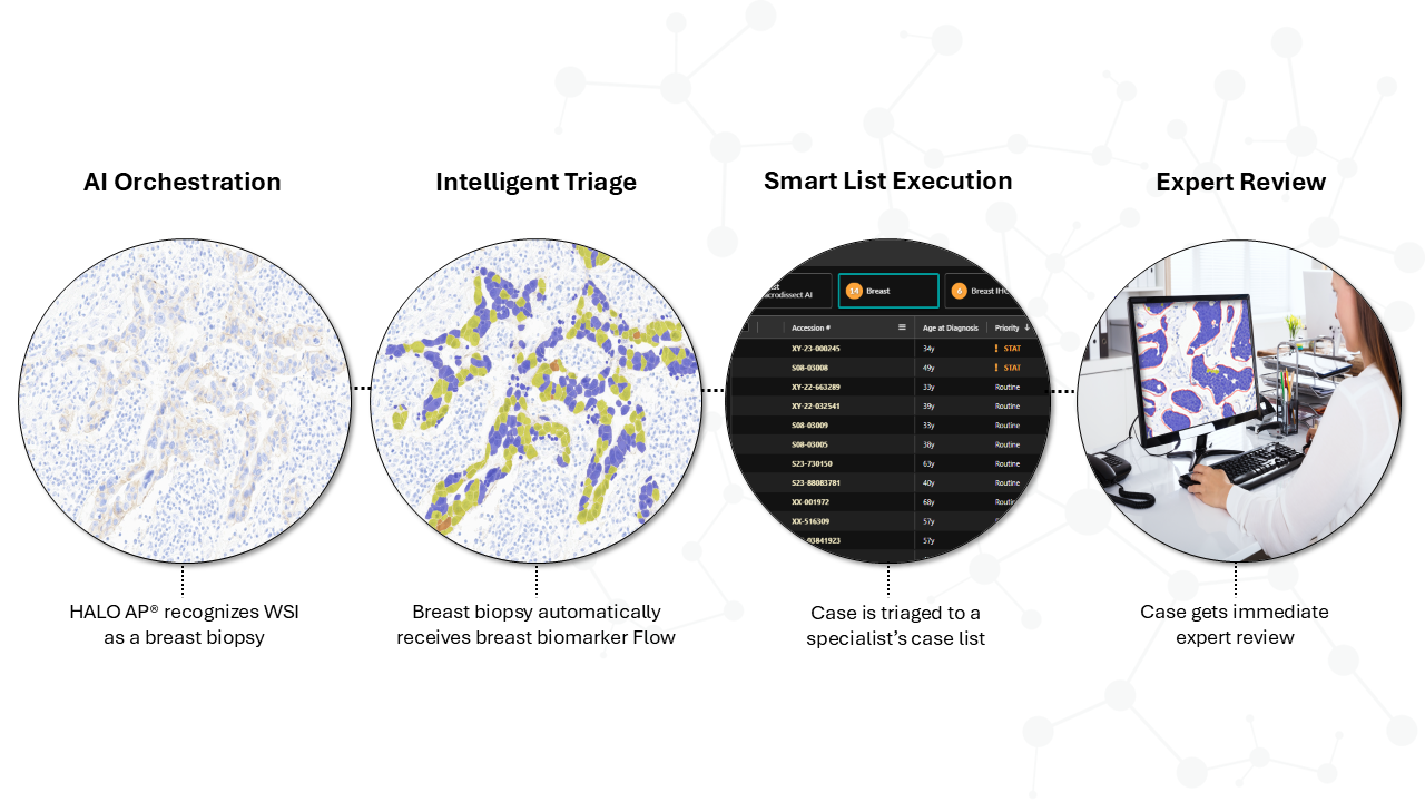In a multi-site hospital system, Lab Logic is used for AI orchestration and intelligent case list triage, transforming a fragmented pathology network into a coordinated, high-efficiency diagnostic engine.