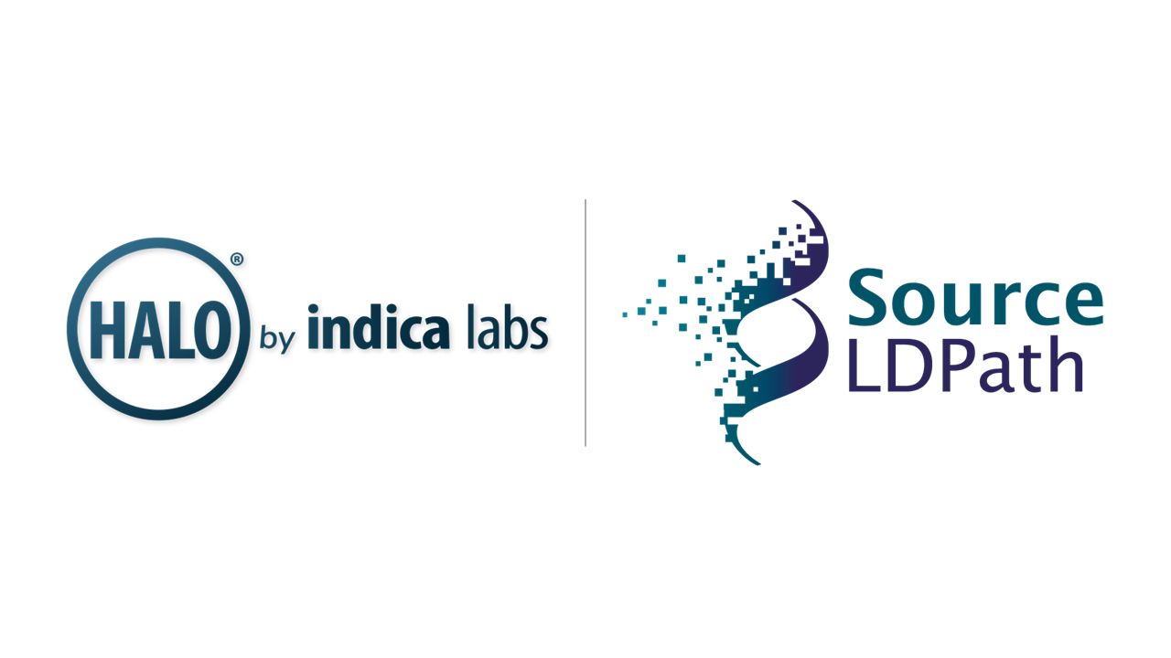 The image shows both company logos of Indica Labs and Source LDPath showcasing the partnership. Since deploying HALO AP® at its Nottingham headquarters, Source BioScience has processed approximately 78,000 cases and 278,000 slides in under nine months with a national rollout now underway that will significantly expand digital pathology capacity across the UK’s outsourced histopathology market.